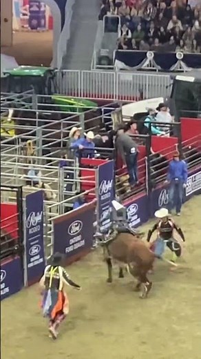 The Royal winter fair rodeo