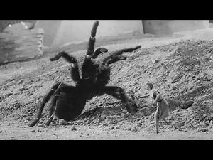 The Incredible Shrinking Man (1957)