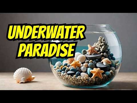 What 4 Things Do I Need to Create a Stunning Aquarium