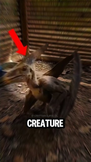 TOP 5 Animals That Move so Fast #animals #wildlife #top5