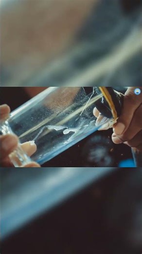 The Island of 4,000 Deadly Snakes! 🐍💀 #shorts