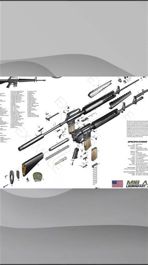 M16 Assault Rifle: Inside the Engineering That Changed Modern Infantry Warfare #army #history