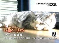 Sega promotes DS cat game with actual cats