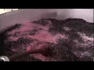 red wine fermentation