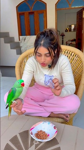 🦜The parrot stole the money😲😁 #Parrot #video #friendship #Parrot #training 🦜🥰#video #parrotlover ...