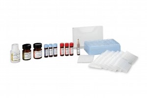 ProteinWorks | Protein Quantification Sample Preparation Kits