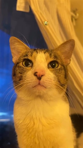 A. Riyadi on Instagram: "Software Malfunction? 🤭😍❤️❤️"