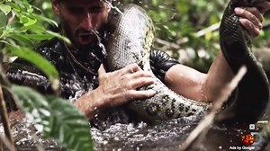 Anaconda to Swallow Man Live on TV