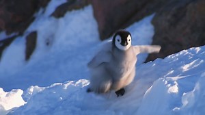 It's Friday and as promised here's Penguin Fail 2 - Some more of the best bloopers from our series Penguins - Spy in the Huddle (Waddle all the Way) Music by Will Gregory #bloopers #emperorpenguin #cute #friday #fridayfun #FridayFeeling #fridayvibes | John Downer Productions