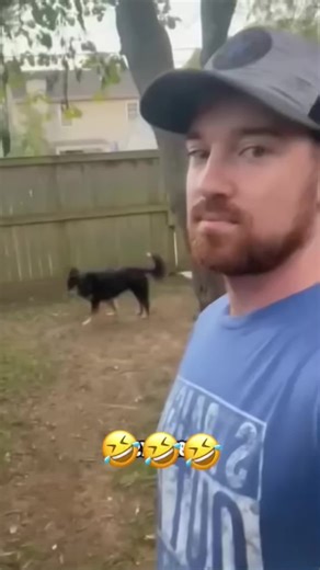 Talking Dog and Cat Conversations at the Dog Park