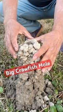Now That’s a Crawfish Hole.