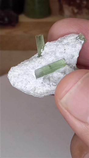 Green tourmaline embedded in light matrix #tourmaline #mineraldisplay #naturalcrystals