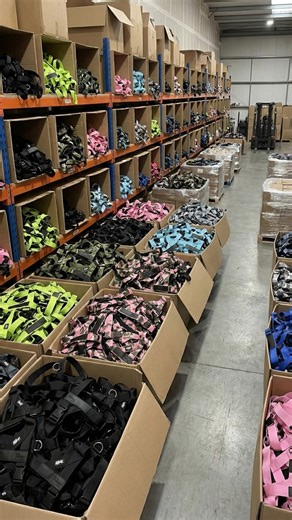 Upgrade to our No-Pull Dog Harness for safer, more comfortable walks. Unlike collars that can cause neck strain, our harness distributes pressure evenly across the chest and shoulders, preventing choking and ensuring your dog's comfort. Ensure your dog's safety with our secure No-Pull Harness. Traditional collars may slip off or get caught, but our harness stays firmly in place, giving you total control without discomfort. | Dog Friendly Co.