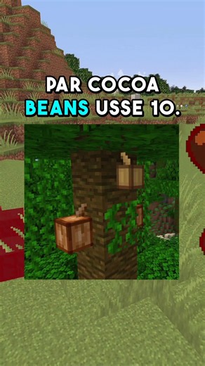 Why Cocoa Beans Are Secretly Rarer Than Iron! 🍫⚙️ #shorts