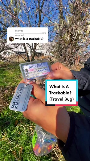 Exploring the World of Travel Bugs in Geocaching