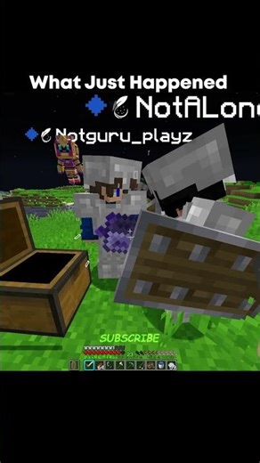 What Just Happened #minecraft