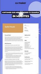 Merchandiser CV Example!