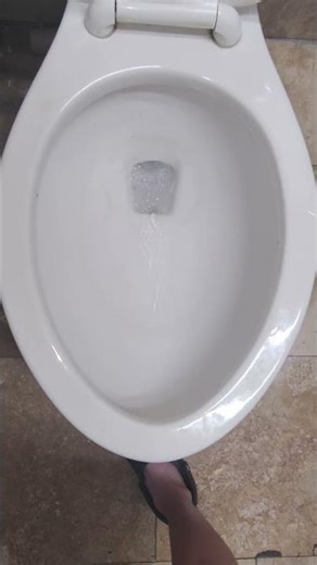 2020s Gerber Toilet At A Gas Station!