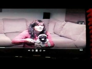 AFV plugged in pug on Disney Plus