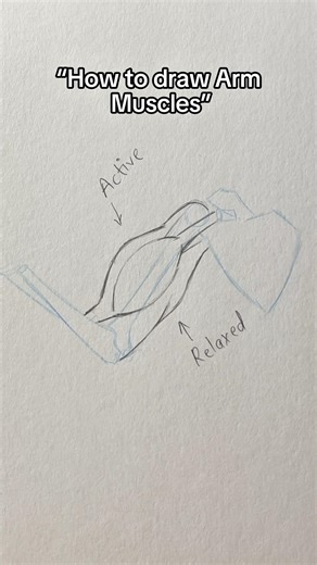 How to draw ARM muscle