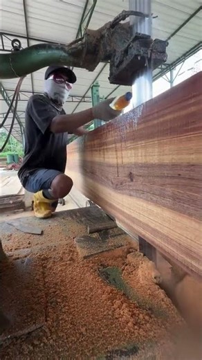 Flying hours never lie!! The skill of cutting wood with a super sharp band saw machine #serkel #teak