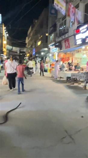 Snake prank❣️😂❣️ on Instagram: "Snake prank 😂 . . .#funny #video #travelling #snake #prank #indiainstagram 😂😂"