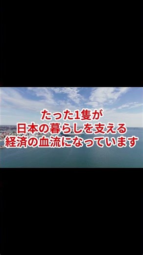 How much does one container ship cost? It's more than I imagined. #AdultEducation #Economics #Beh...