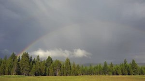Time Lapse, Rainbow forms in dramatic sky filled with multi-layered clouds, rain shafts and fog that rolls over lush green grass, thick pine tree forest landscape. 4K UHD 3840x2160