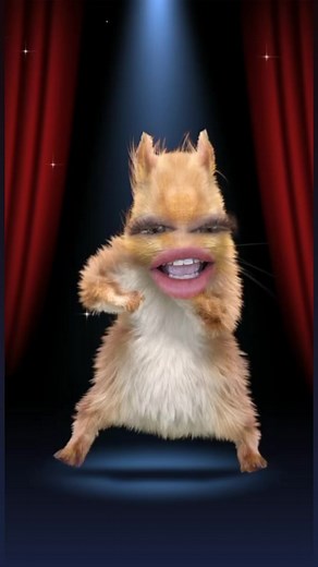 314K views · 2.1K reactions | Dancing Squirrel….❤️ | Red Squirrel | Facebook