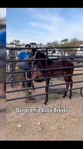 29K views · 1.2K reactions | UPDATE! Our premie baby Breyer is almost...