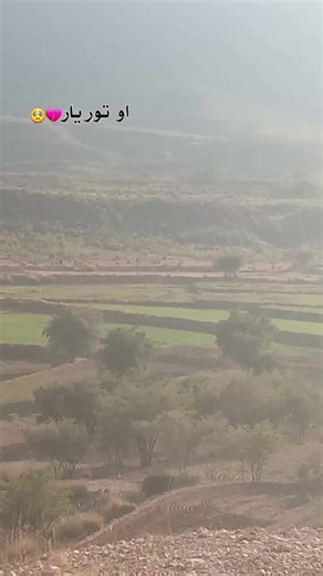 Best Songs for Relaxing Home Vibes