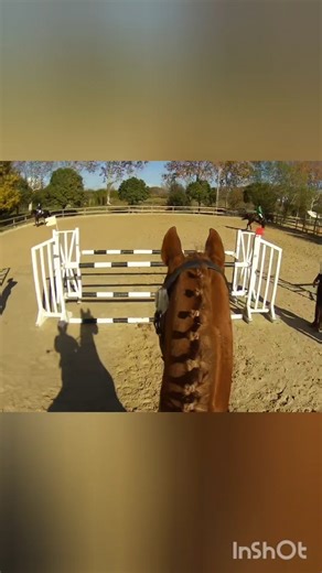 CCI 2*S Le Pouget : saut - la détente #horse #equestrian #equitation #cheval #saut #jumping