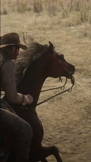 레데드온라인으로 서부 전설 되기 도전!