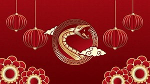 2025 Chinese New Year Snake Motion Stock Footage Video (100% Royalty-free) 3630682191 | Shutterstock