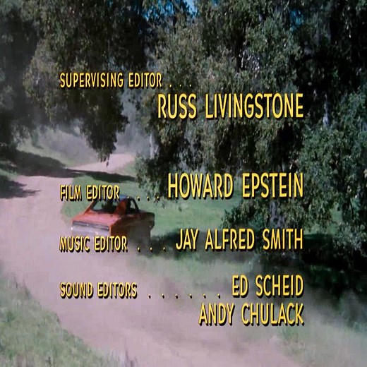 The Dukes of Hazzard Season 2 Episode 17 – Officer Daisy Duke 19 | TERMINAL LAND