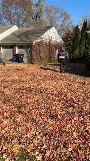 Fall leaf  clean up mowing #mowing #coreaeration #guttercleanout...