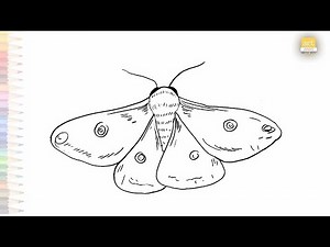 Moth drawings | Insect drawing tutorial | How to draw A Moth step by step | #artjanag