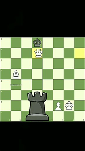 Mega Rook #chess #chessgame #chessplayer #chessstrategy #checkmate