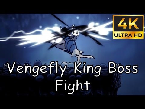 Vengefly King Boss Fight (Hollow Knight)