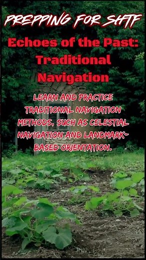 Prepping Tips | Traditional Navigation: Echoes of the Past