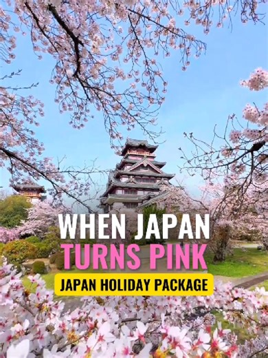 Experience the magic of Cherry Blossom Season in Japan with Pinnacle Tourism 🌸🇯🇵 Witness iconic cities painted in shades of pink as you explore Japan on a 6 Nights & 7 Days unforgettable journey. From cultural landmarks to scenic sakura views, this trip is the perfect blend of beauty, tradition, and memories that last a lifetime. Book your spring escape now! 📍 Bur Dubai: 971 56 993 9525 📍 Al Ghurair Centre: 971 54 424 8656 #JapanCherryBlossom #SakuraSeason #VisitJapan #PinnacleTourism #Japa