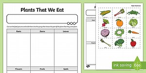 Plant Parts We Eat Worksheet