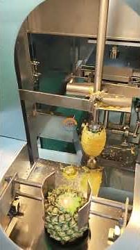 Industrial pineapples skin and eye peeler corer machine automatic pineapple peeling coring equipment