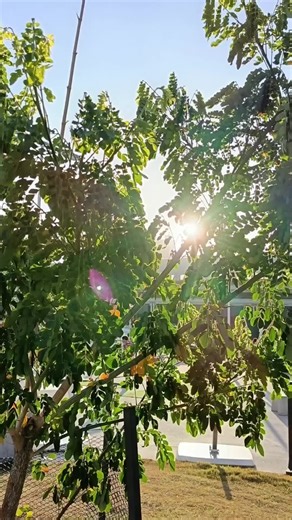 Videos de ruben gomez (@ruben.gomez0301) con “sonido original - ruben gomez”