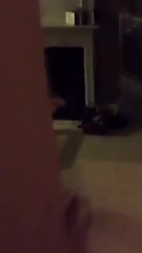 Avoid Dropping Your Croissant with These Hilarious Moments