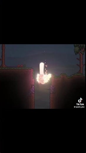 little Terraria animation #animation #terraria