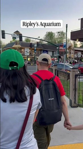 Things to Do in Gatlinburg with Teens and Kids | Spring Break Trip