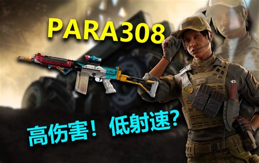 【彩虹六号】被玩家忽略的高伤害是👍低射速是🤞的超好用步枪PARA308是💕