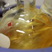 Video: Cell Labeling and Targeting with Superparamagnetic Iron Oxide Nanoparticles