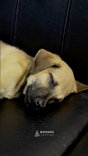 Dog Paw Tattoo 🐾 | Forever Pet Love by Sandeep Waghmare | Bhikshu Tattoo